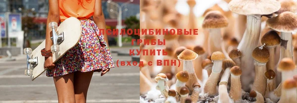 а пвп мука Верхний Тагил