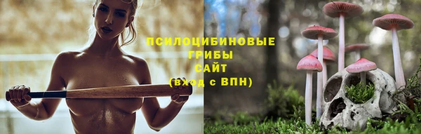 твердый Бронницы