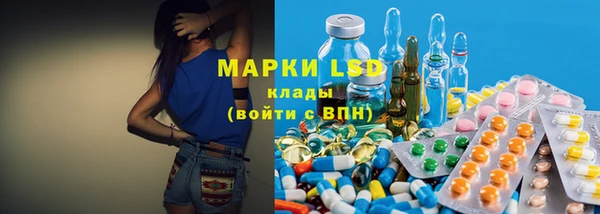 стаф Бородино