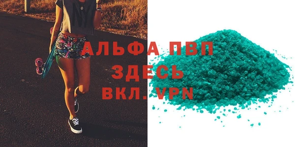 стаф Бородино